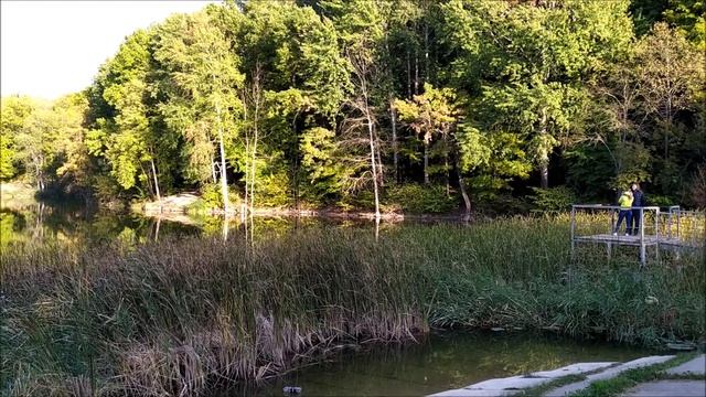 Классное озеро в парке Маршалково. Красота +5 . смотреть онлайн