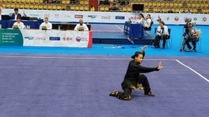 Bagua. World Wushu Championships 2017 - the 1st place