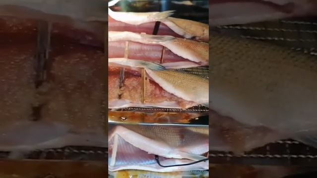 Снасть-любь