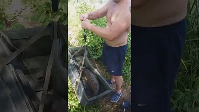 1 июля 2019 г. смотреть онлайн
