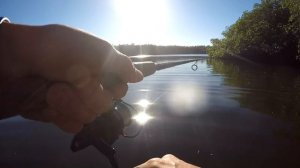 Florida Fishing Products Osprey 3000 Fishing Reel Review