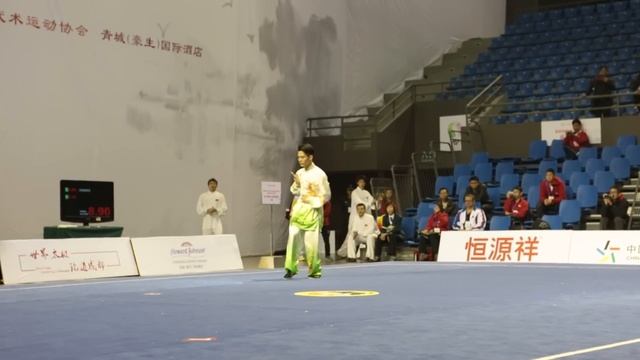 TAIJIQUAN. Demonstration Performance Chinese Athletes  At The World Taijiquan Championship