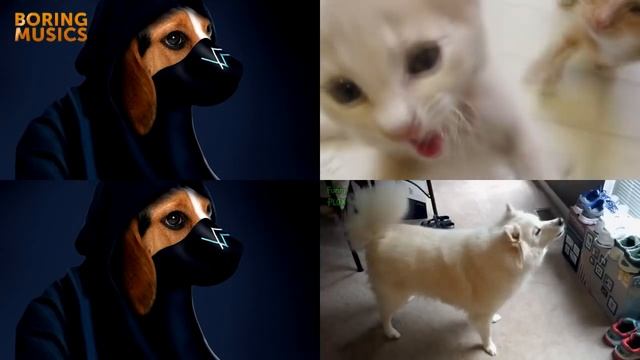 Alan Walker - Faded (Animals Cover) Versi Hewan