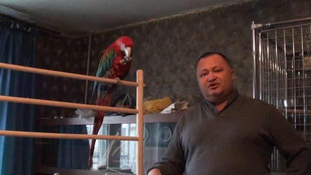 На рыбалку с AlexLen, наши домашние питомцы. смотреть онлайн