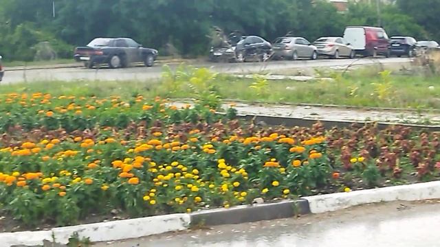 Не могу удержаться, чтобы не поделиться с вами песней Меги Гогитидзе смотреть онлайн