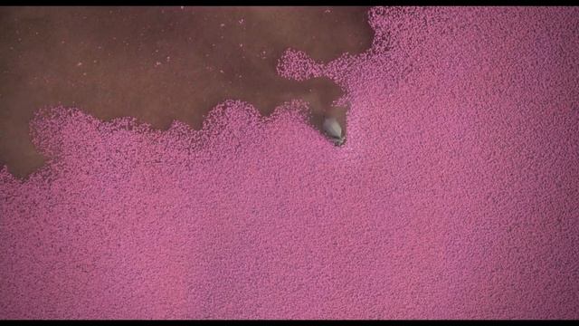 HORTON HEARS A WHO! CLIP COMPILATION #3 (2008)