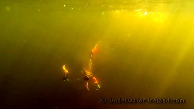 Fishing: bright vs dark pike attack StrikePro Wolf Tail under water. Рыбалка щука атакует. смотреть онлайн