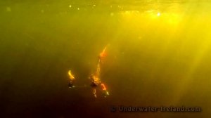 Fishing: bright vs dark pike attack StrikePro Wolf Tail under water. Рыбалка щука атакует.