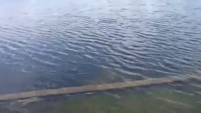 Fishing with Ecoda Trio Caster EX ETCII 50A Reel смотреть онлайн