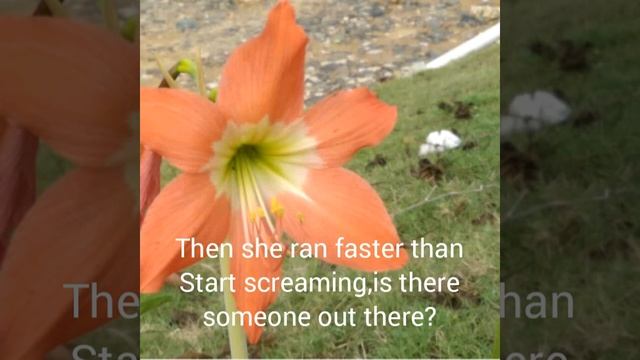 KARAOKE-LILY ALAN WALKER -COVER LIRIK смотреть онлайн