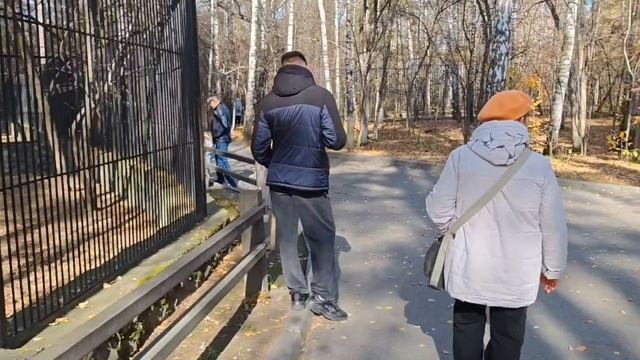 Осенний зоопарк в Новосибирске. смотреть онлайн