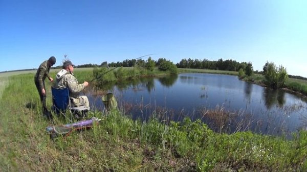Заготавливаем живца для ловли щуки