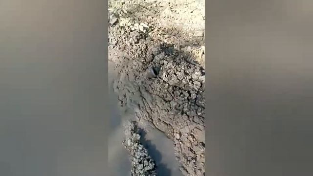 Отдых без папы. смотреть онлайн