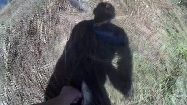 САЗАН,КАРАСЬ И ЩУКА РЫБАЛКА С НОЧЕВКОЙ НА СУЛЕ смотреть онлайн