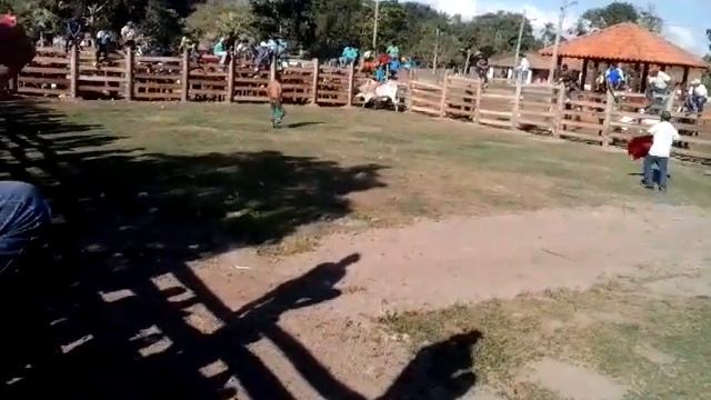 Jocheo de Toro en Sampedro nuevo del Beni(2) смотреть онлайн