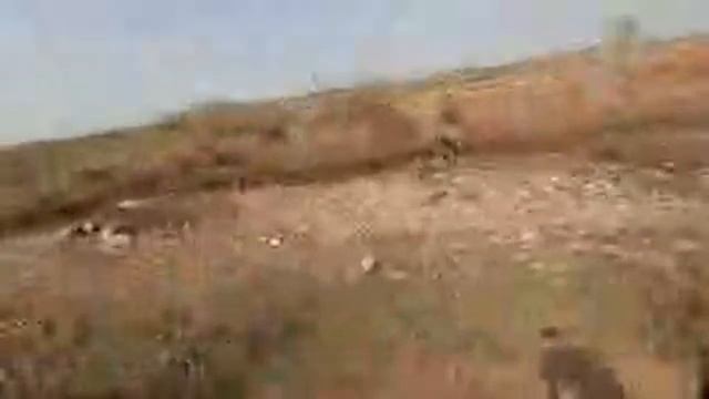 Балик ни куринг мазза ми смотреть онлайн