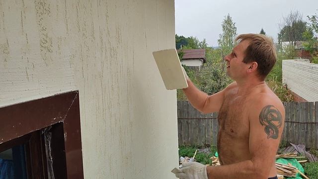 сафиты короед лестница