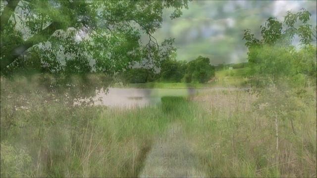 Озера в поселке Комсомольский. 12 км от Белгорода смотреть онлайн