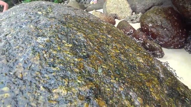 Пхукет пляжи. Пляж парадаиз( Paradis)-альтернатива большим волнам. смотреть онлайн