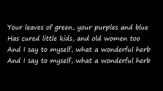 Damian Marley - Medication Ft. Stephen Marley [Lyrics] [Stony Hill Album 2017]