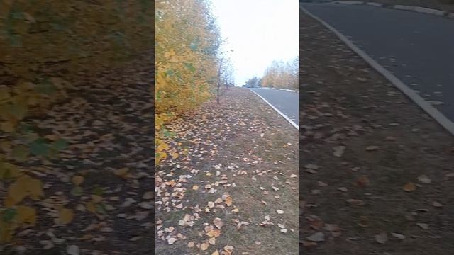 Прекрасная осень! Гоша в поиске грибов! смотреть онлайн