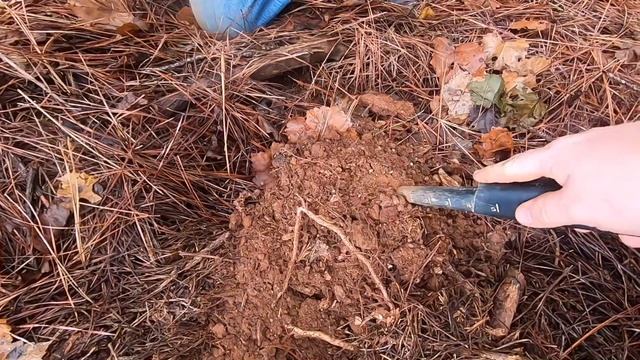 Creepy lady face dug up at lost church site metal detecting! смотреть онлайн