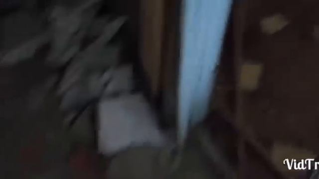 ВИЛЕЙСКОЕ ПМС смотреть онлайн
