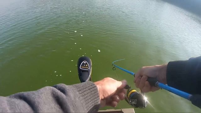 Shimano Nexave FI Spinning Reel Review & Field Test
