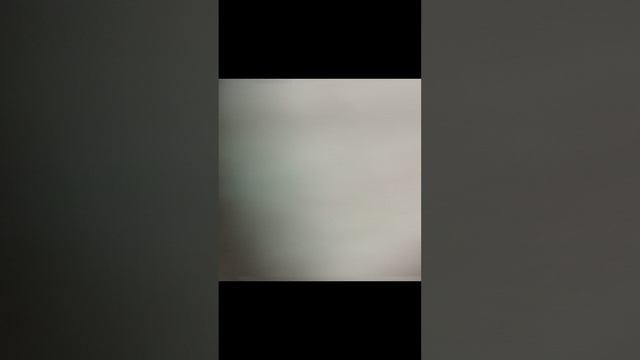 1000000135.mp4 смотреть онлайн