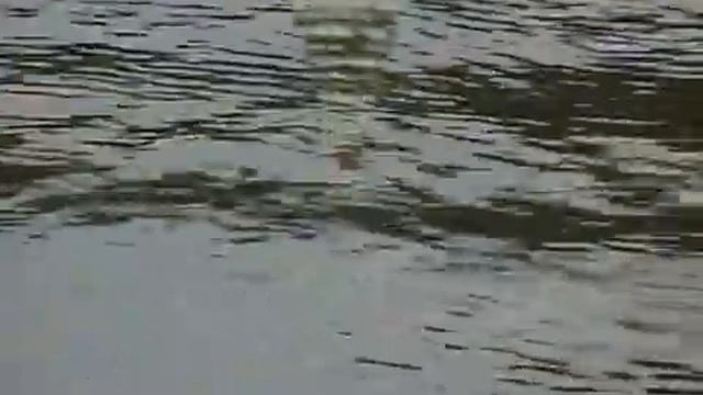 зимой со штекером смотреть онлайн