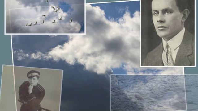 Виктор Дзансолов - "ПРОЛЕТЕЛИ ЛЕБЕДИ НАД ДОНОМ" смотреть онлайн