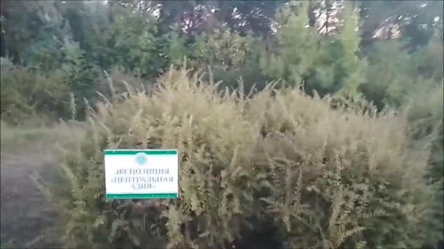 Белгород. НЕСЛУЧАЙНЫЕ ВСТРЕЧИ в Ботаническом саду смотреть онлайн