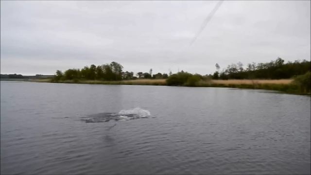 Pike popper: Popper Strike, pure action, Part 1 of 4 смотреть онлайн