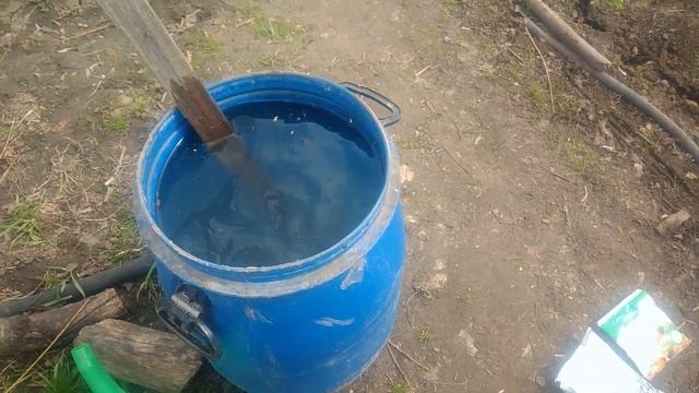 Как получить хороший урожай чеснока.Чем подкормить чеснок весной смотреть онлайн