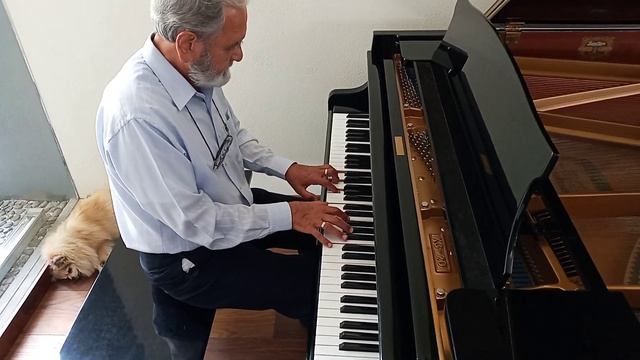 Canto a la Libertad - Nabuco de Verdi -- El Piano de Alfredo Glz смотреть онлайн