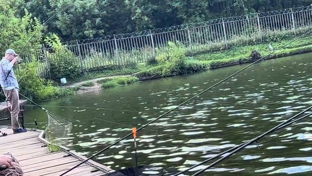 Осетр красногорск смотреть онлайн