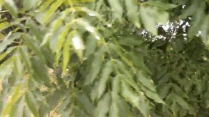 Альтенбург ГСВГ 2013