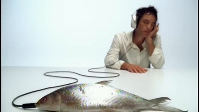 The Wallflowers - Sleepwalker