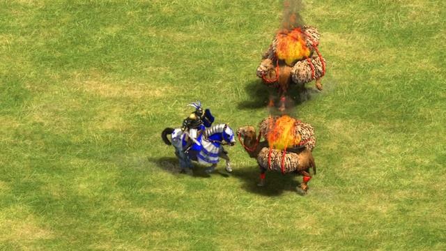 How Many Flaming Camels Do You Need to Kill a Paladin? | AoE II: Definitive Edition смотреть онлайн
