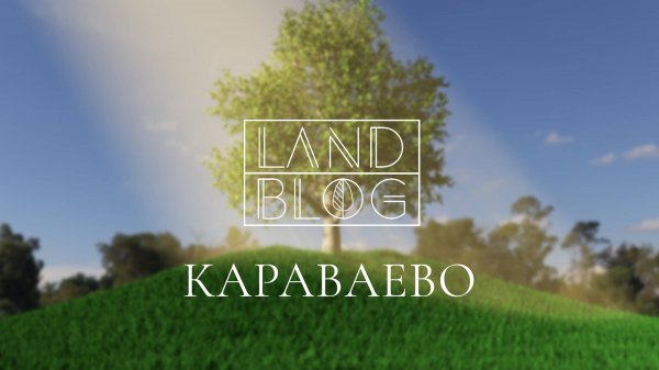 На объекте спустя год | Проект сада "Караваево"