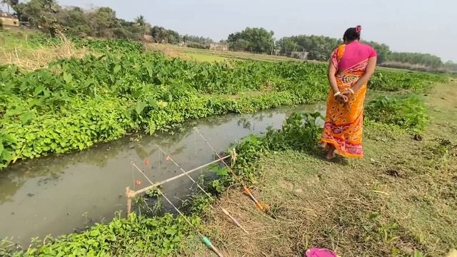 Hook Fishing Videos 🎣🎣✅✅ Amazing Fishing Videos In Village Canal #fishing #hook #hook_fishing #মাছ