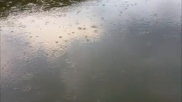 Карпати-Цисарське урочище-природа-рыбалка смотреть онлайн