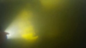 Подводные работы по очистке пруда водолазами от рыбы