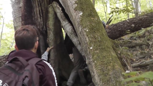Экскурсия на Скалу Зеркало с школьниками 5кл. смотреть онлайн