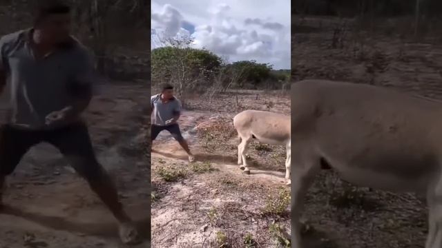 Достал все-таки