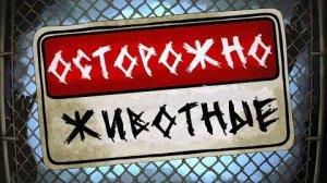 DOTA 2 - ЗООПАРК