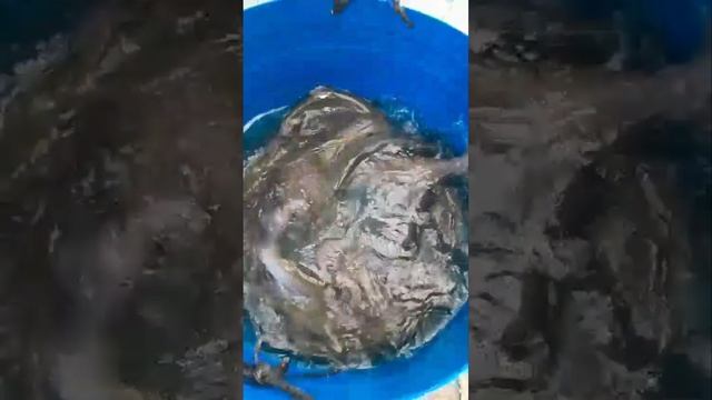запуск с бонусом смотреть онлайн