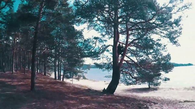 A trip to Karelia by bicycles смотреть онлайн