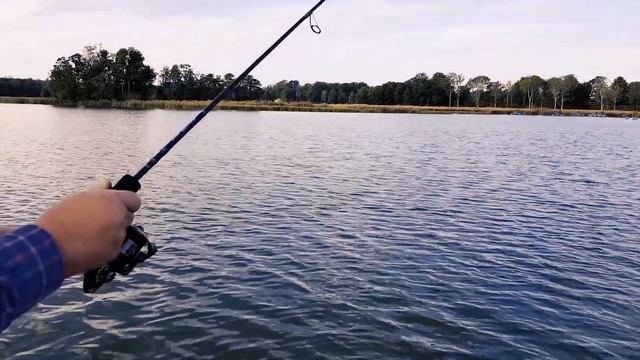 Testy nowości 2019 Team Dragon смотреть онлайн