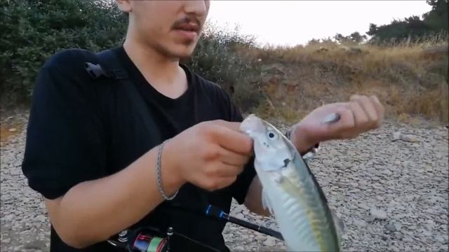 Zipbaits Fakie Dog Cb 50 Mm 5  Gr LRF AVI